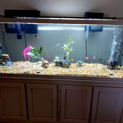 My Aquarium needed resealing! Very pleased that I 