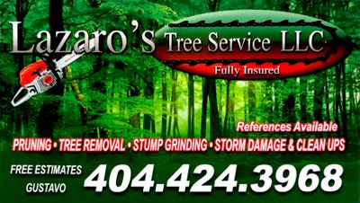 Avatar for Lazaro’s Tree Service