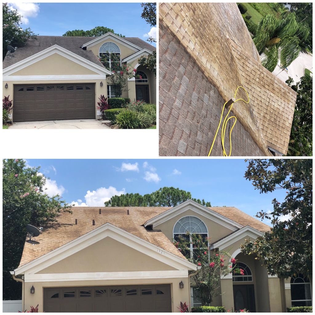 Roof Cleaning