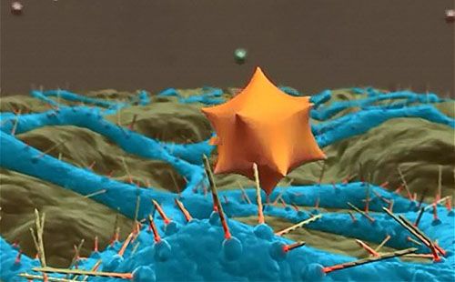 Mechanical Kill of Virus