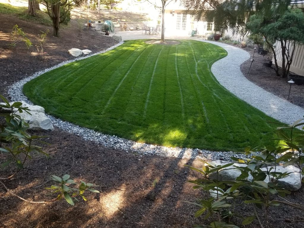 Sod Installation