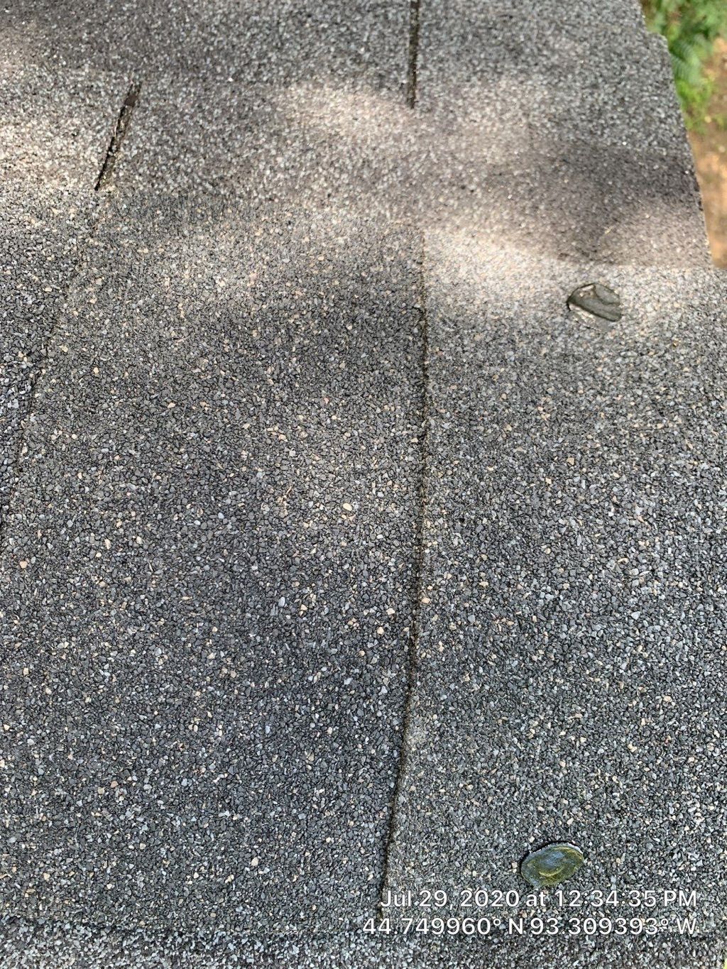 Customer photos