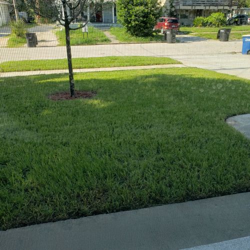 My lawn looks beautiful !! I appreciate the fact  
