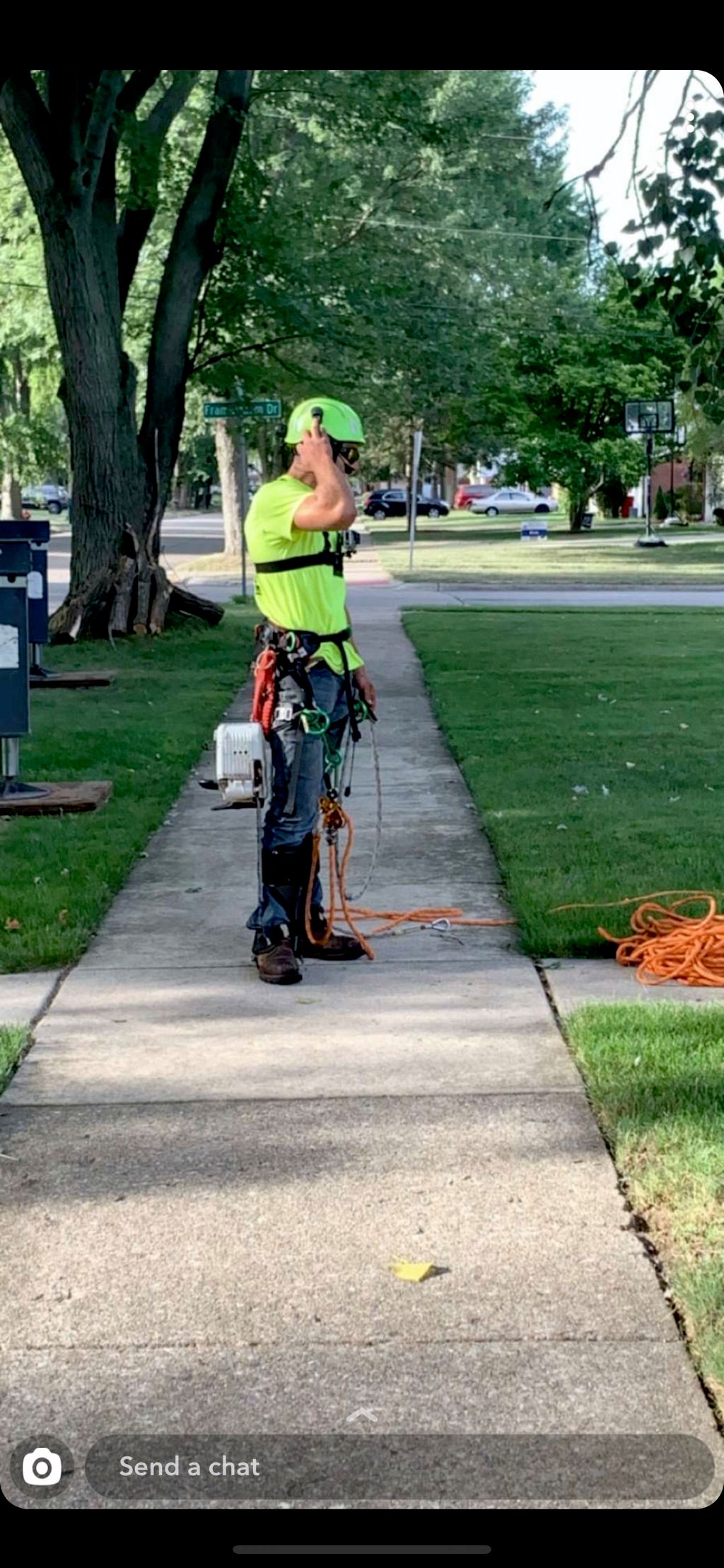 Franklins tree care llc