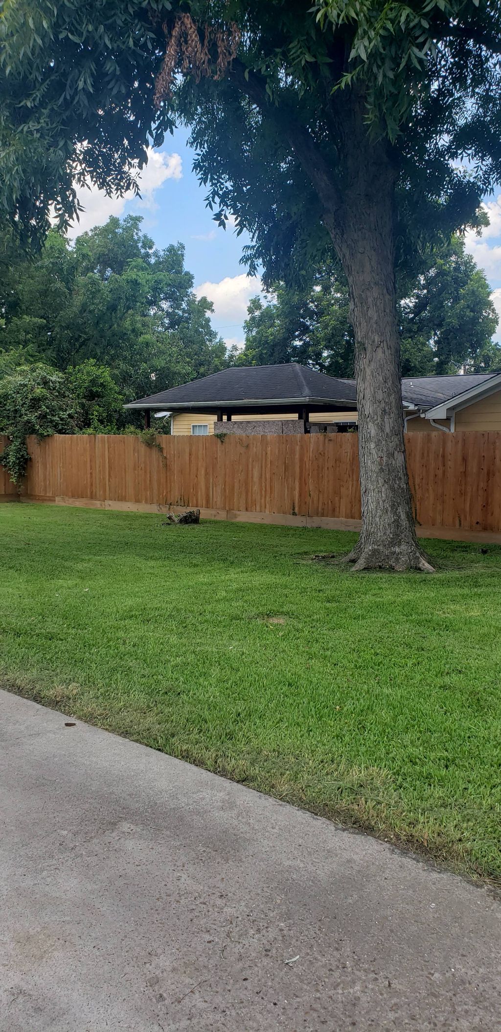 Customer photos
