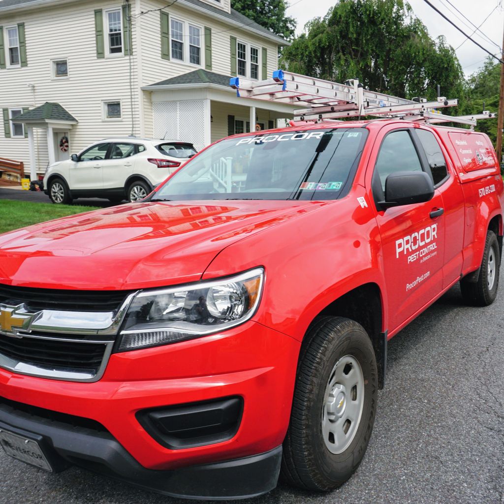 Procor Pest Control