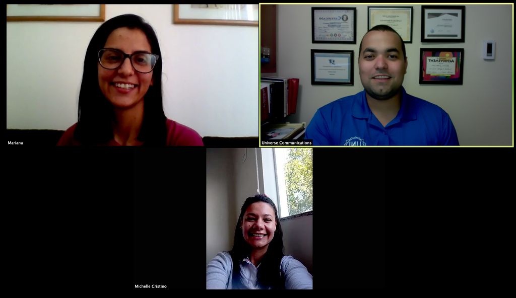 Online Interpreting