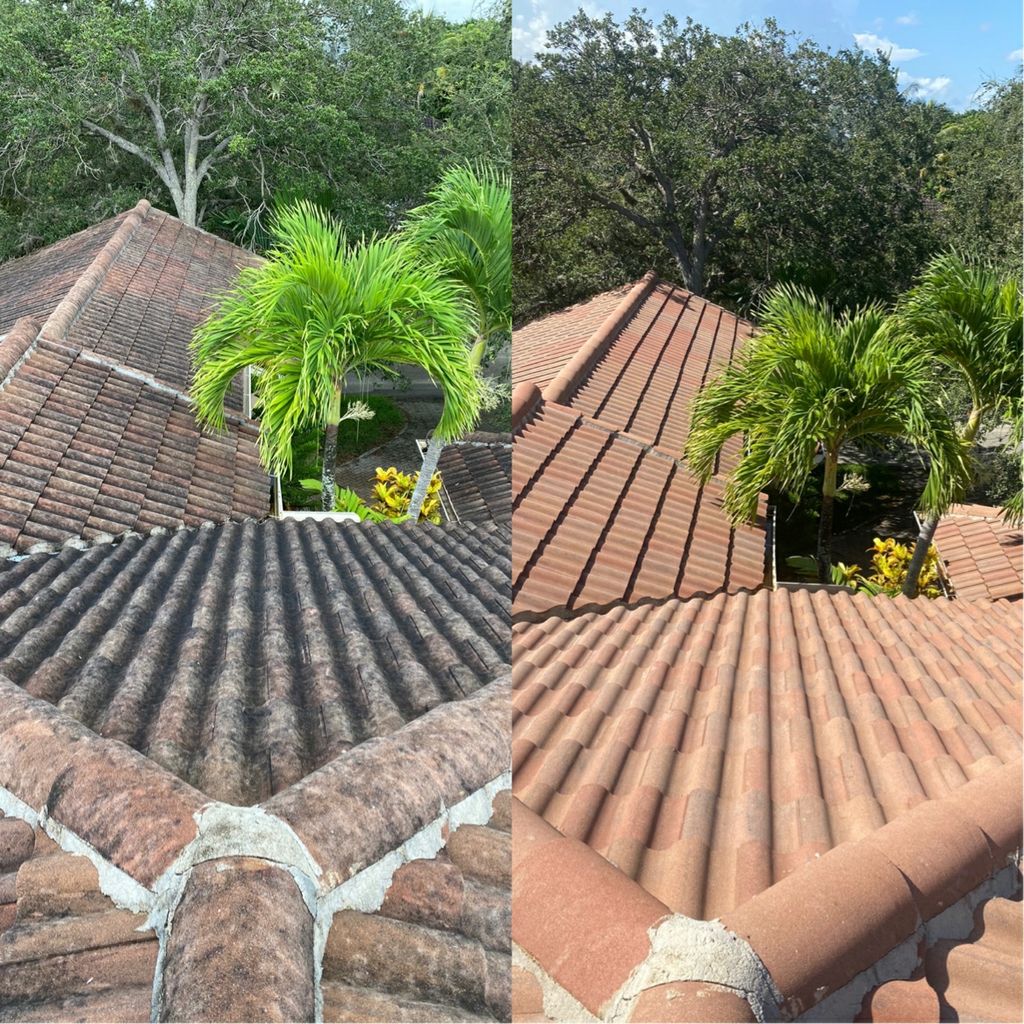 Customer photos