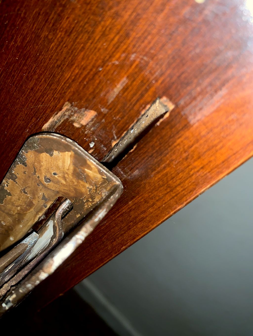 If you look closely you will see live bed bug eggs