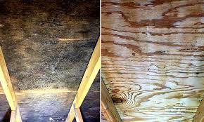 Before and After Mold Remediation