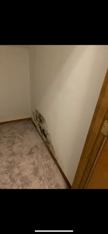 Before Mold Removal