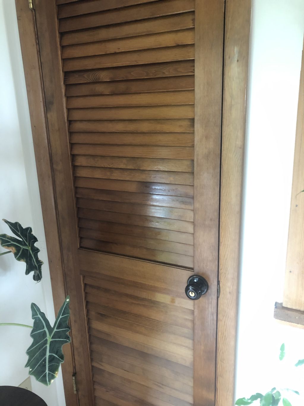 Cleaning and Freshening leveler doors takes time! 