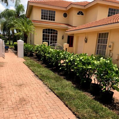 Clean Cut Tree Service Fort Myers