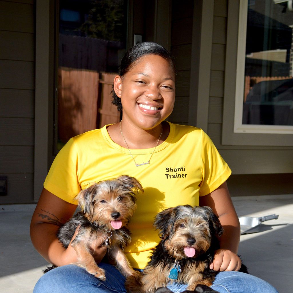 Pet Training with Shanti