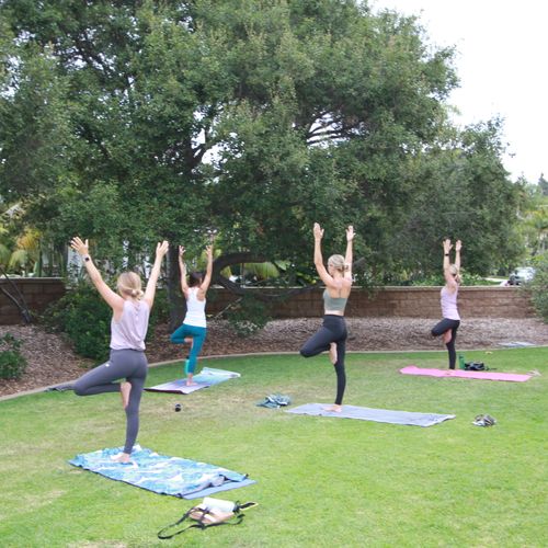 Private group yoga at the park