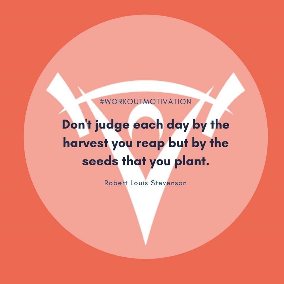 Plant a Seed 