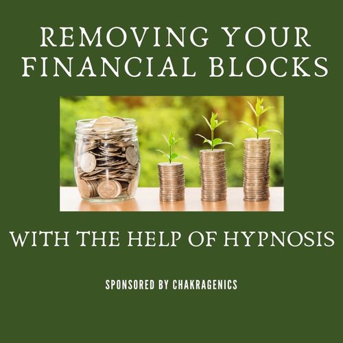 Financial Hypnosis 