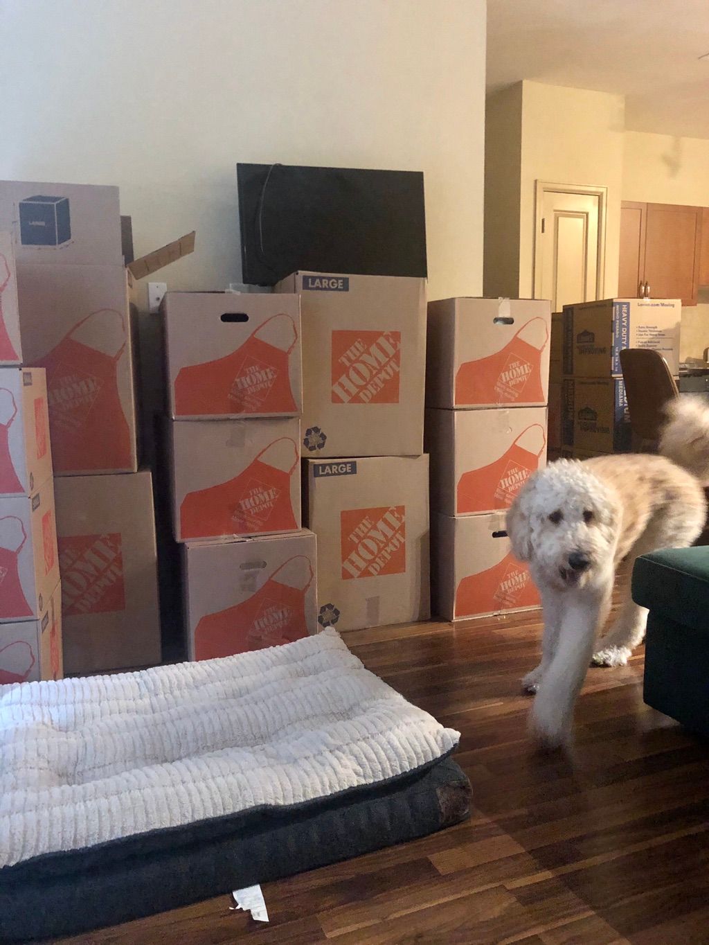 Customer photos