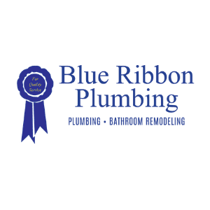 Avatar for Blue Ribbon Plumbing