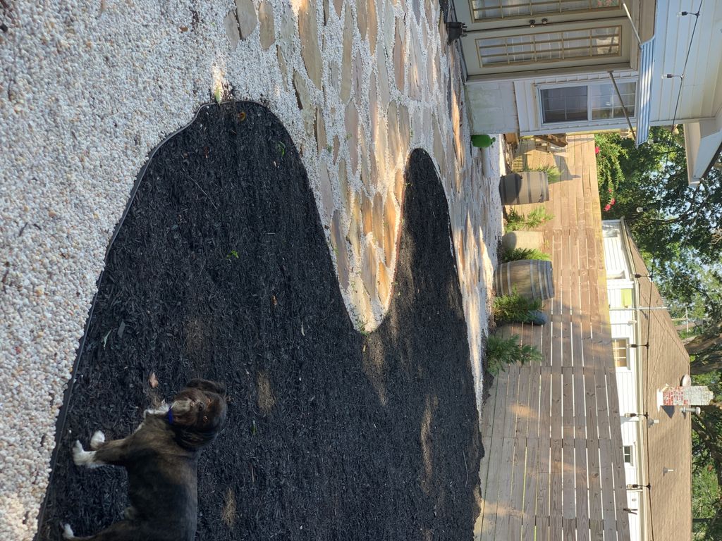 Customer photos