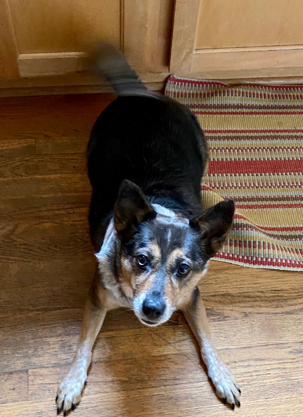 Sadie
