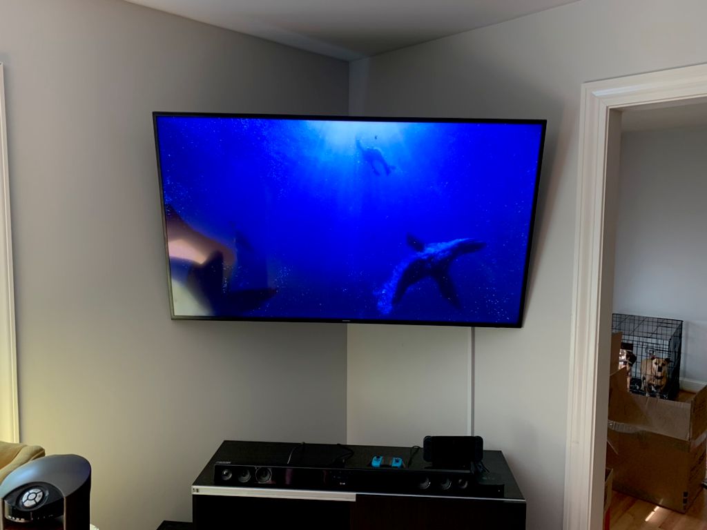 Projects and media
