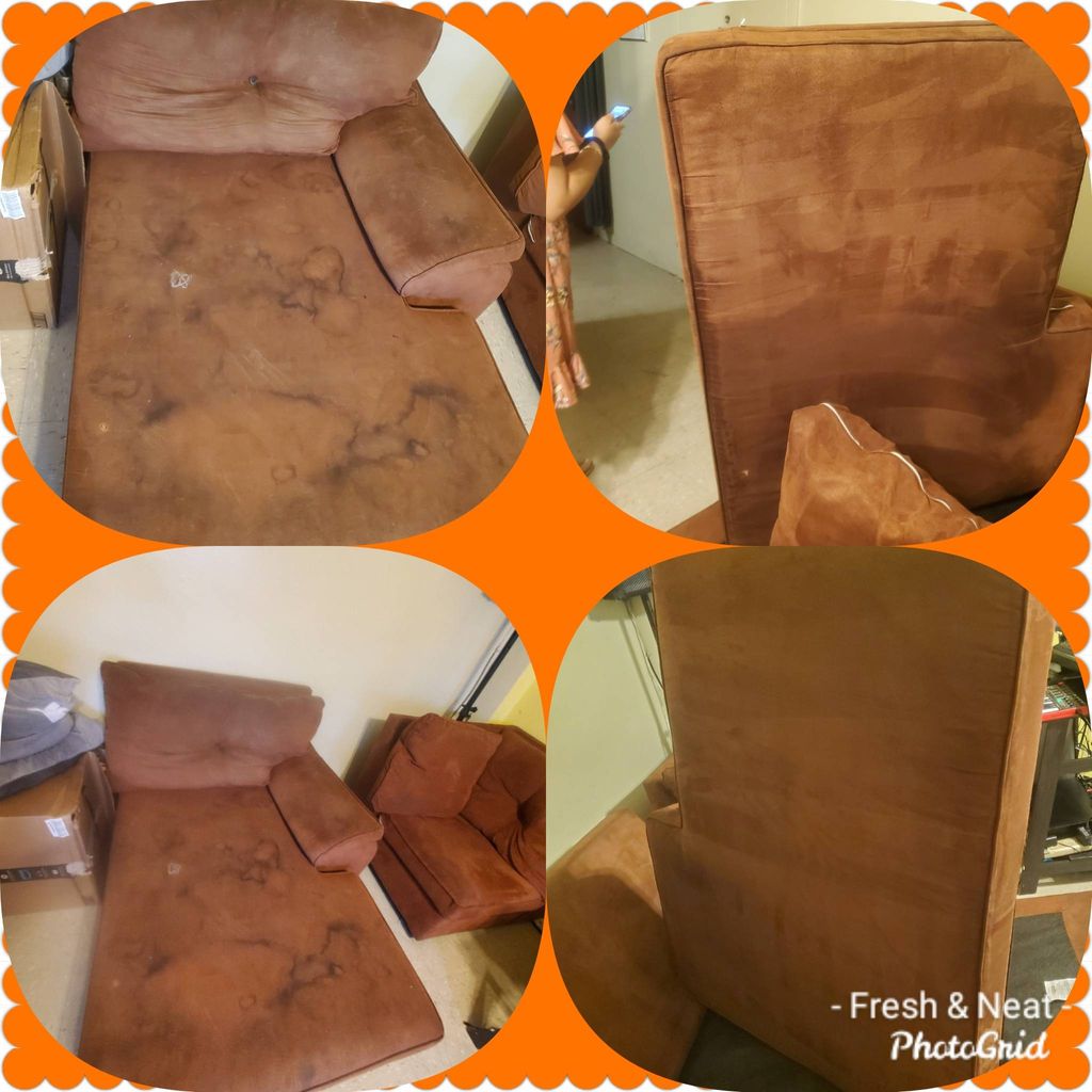 micro fiber sectional never cleaned 2 owners 2 dog