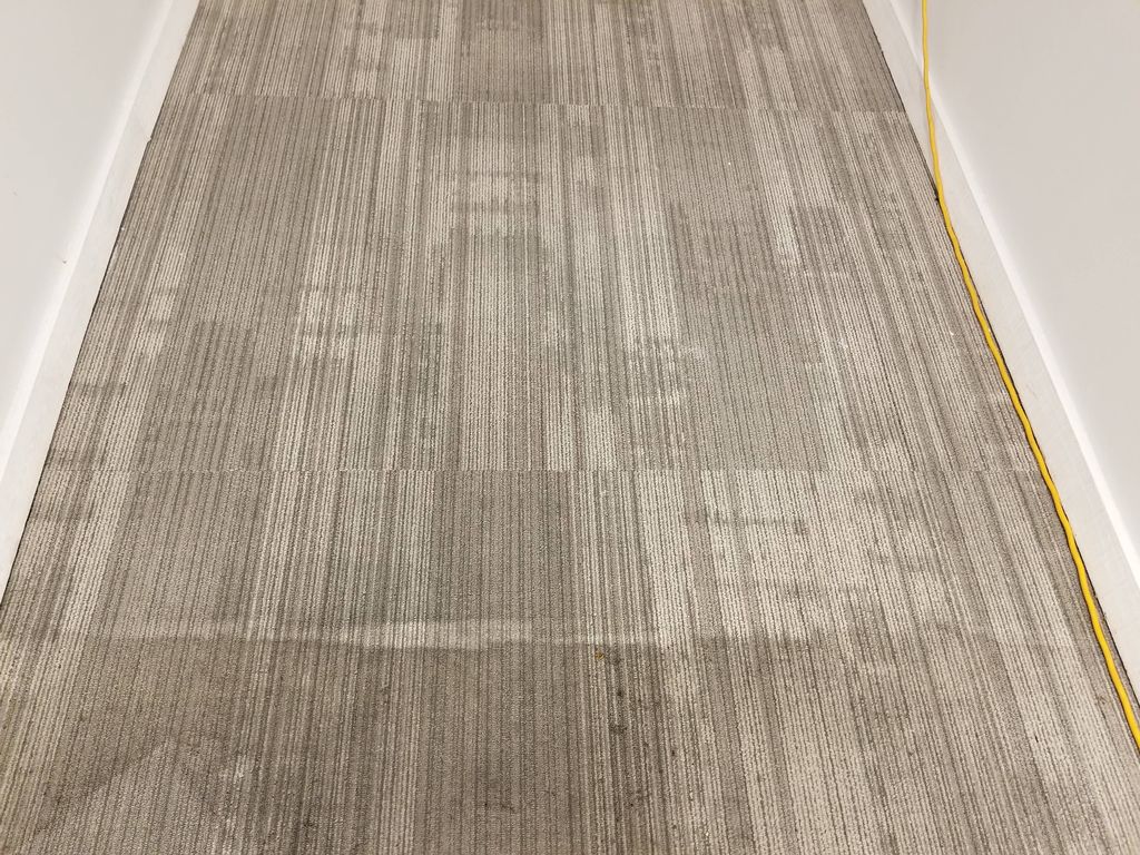 College dorm hallway during the cleaning process.
