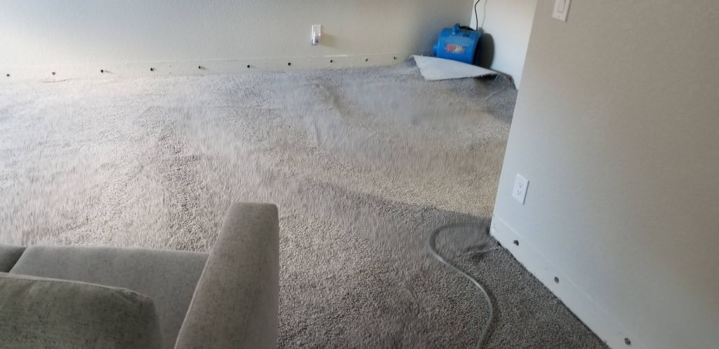 Floating wet carpeting for drying 