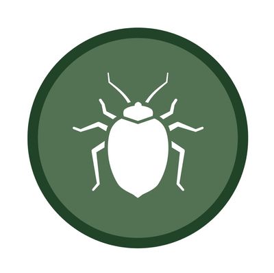 Avatar for Extreme bedbug solutions