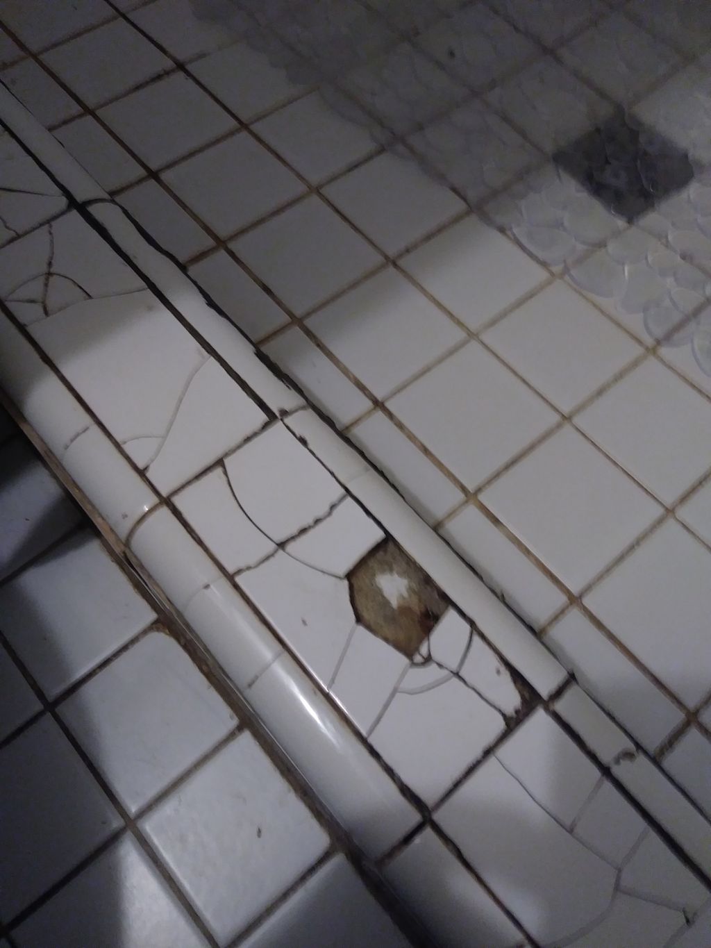 Tile repair