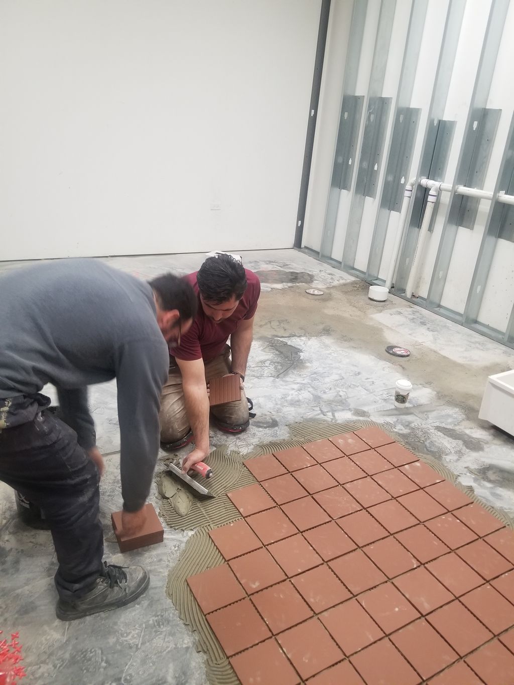 Projects and media