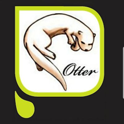 Avatar for Otter Illustrating