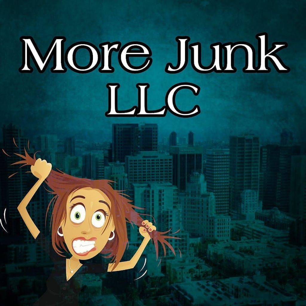 MORE JUNK LLC