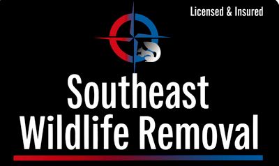 Avatar for Southeast Wildlife & Pest Control