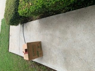 Customer photos