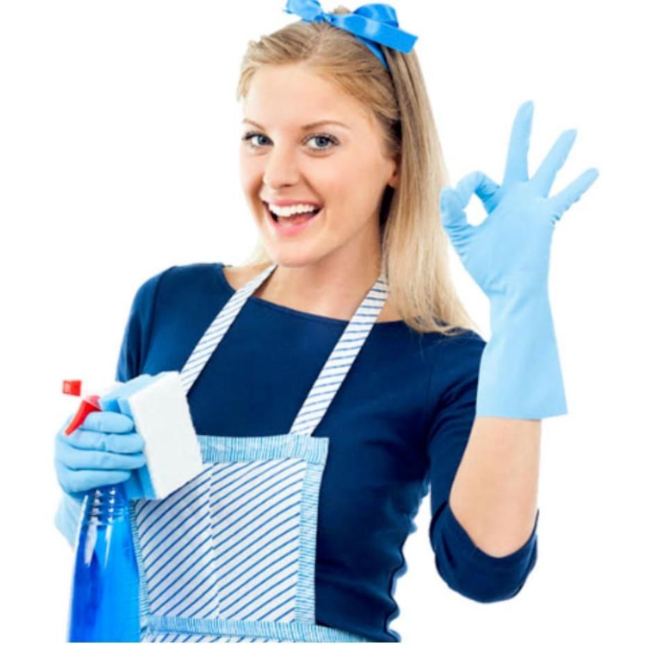 Bella #1 Cleaning Service LLC