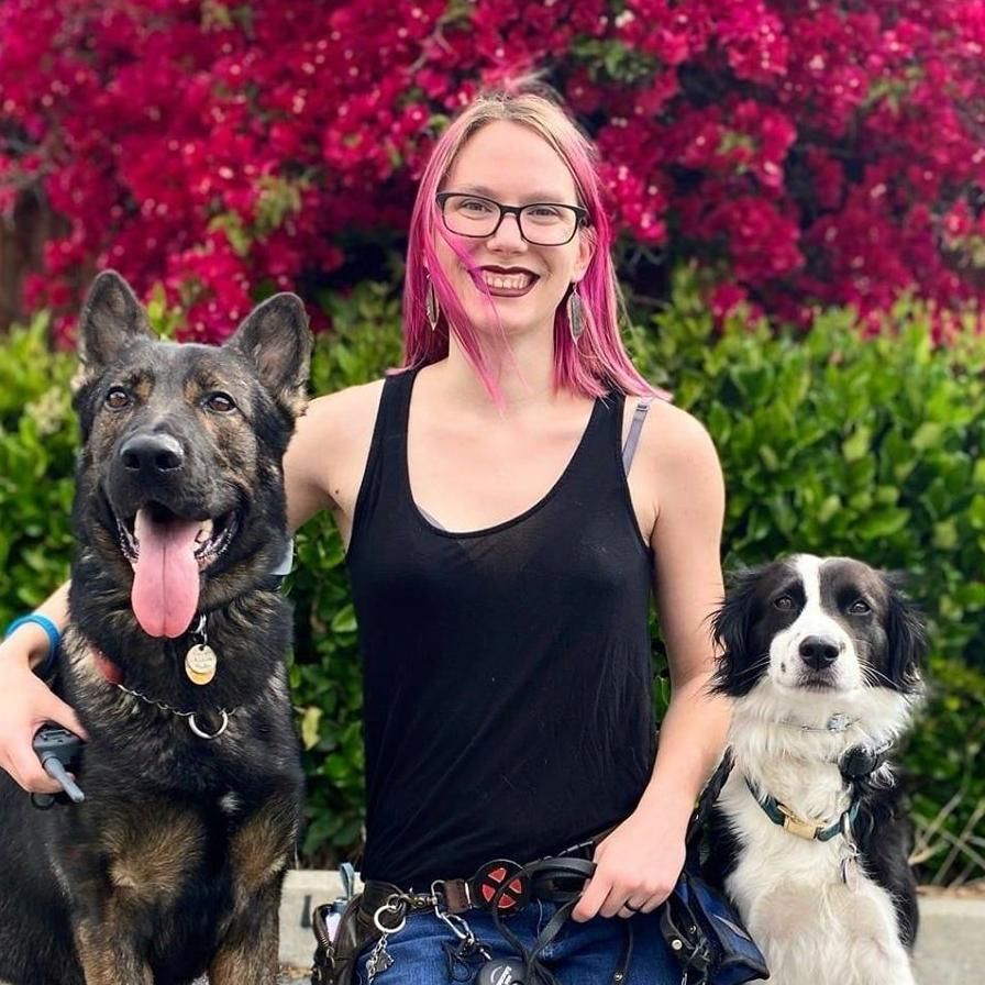 Radiant K9 Training