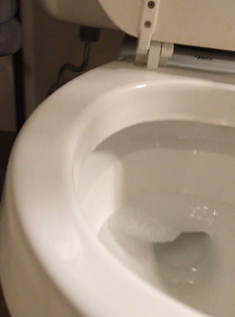 Toilet got un-Covid! 