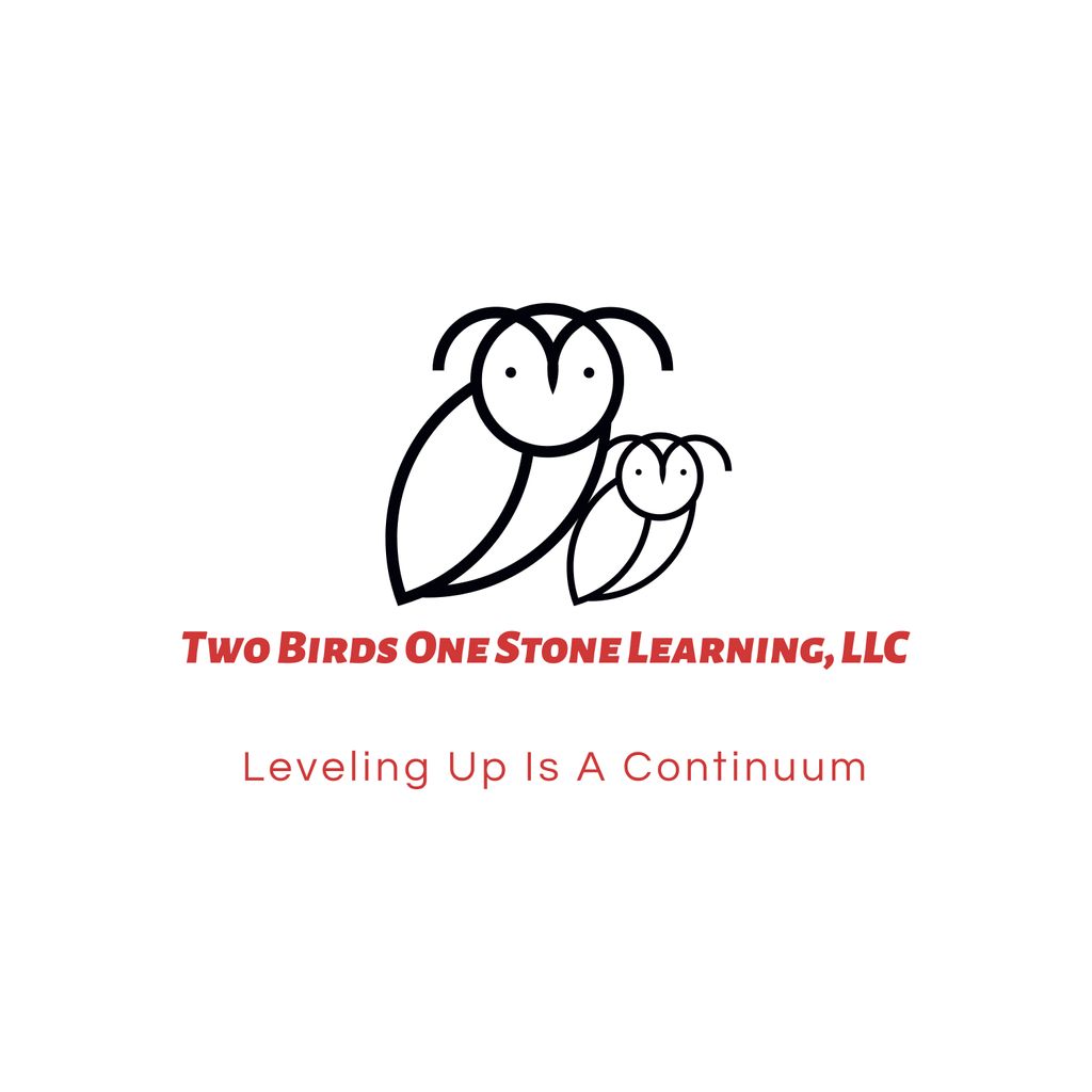 Two Birds One Stone Learning, LLC