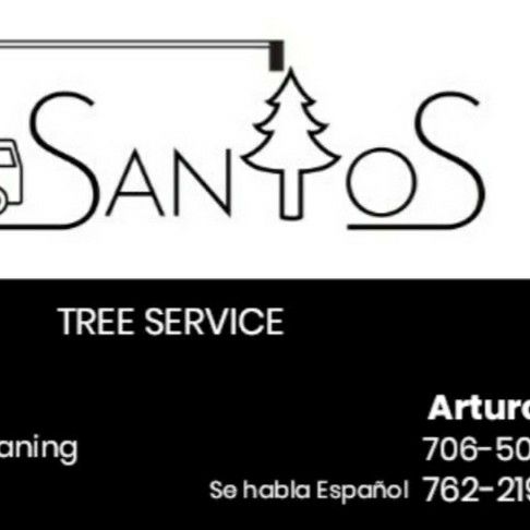 Arturo’s tree service