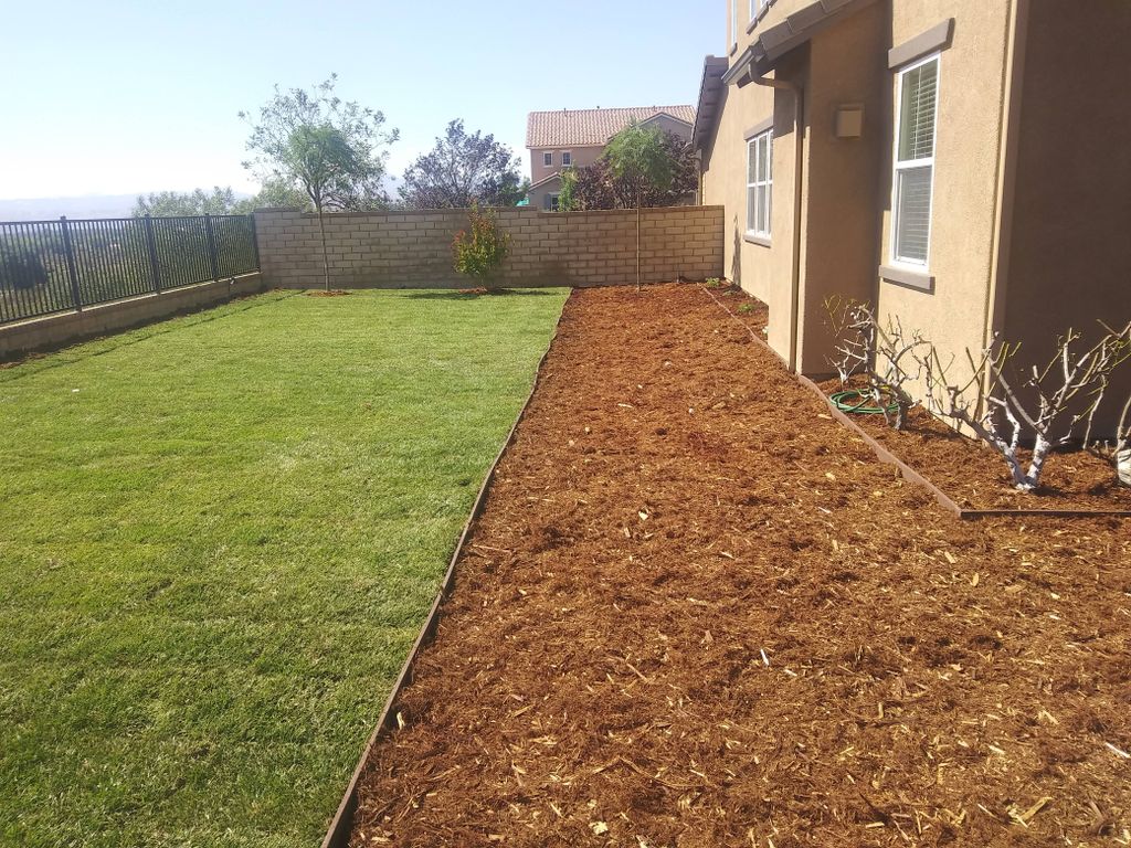 new lawn with gorrilla hair