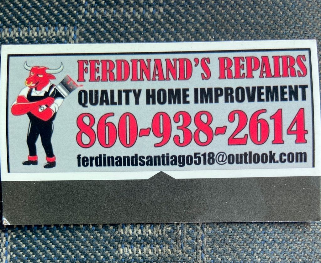 Ferdinand's repairs +cleaning services
