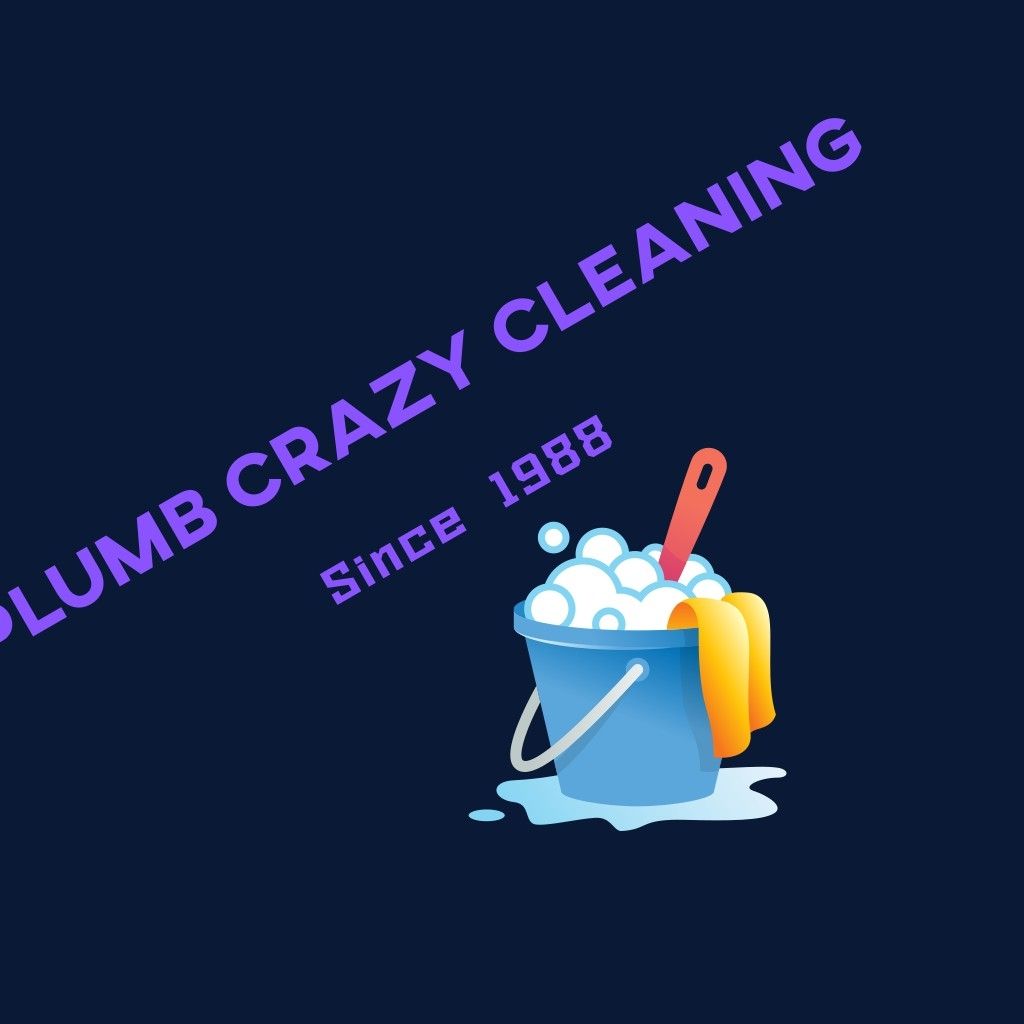 Plumb Crazy Cleaning