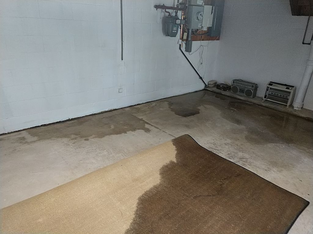 Leaking Basement