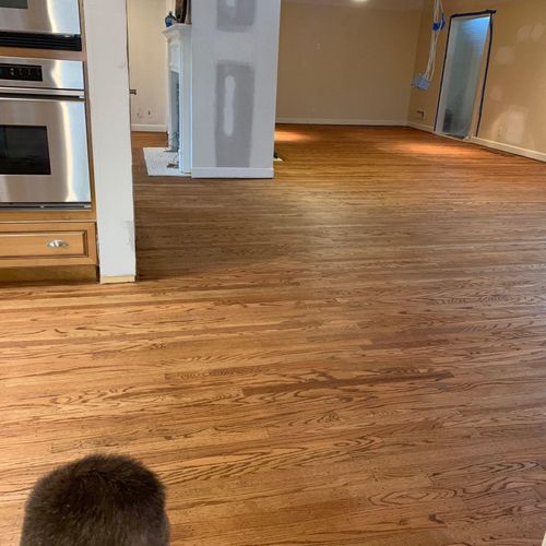 New Again Flooring Louisville, KY Thumbtack