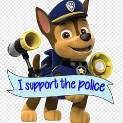 pro avatar