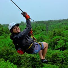 pro avatar