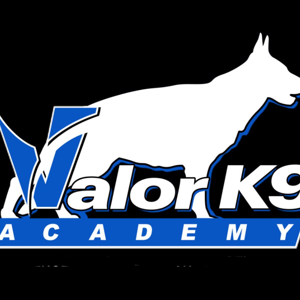 Valor K9 Academy