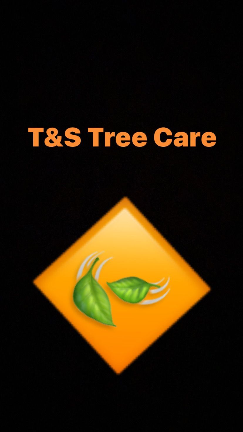 T&S TREE CARE